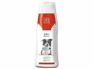 2 IN 1 SHAMPOO & CONDITIONER