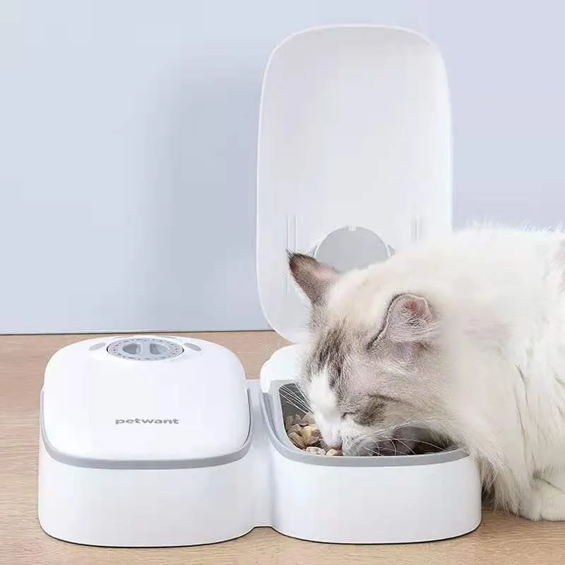 2-Meal Automatic Pet Feeder, Timed, 150g Compartments