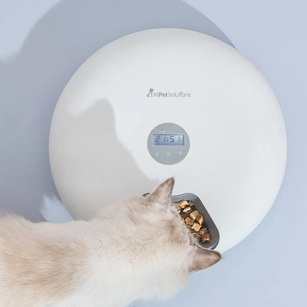 6 Meal Automatic Pet Feeder with LED Timed Settings