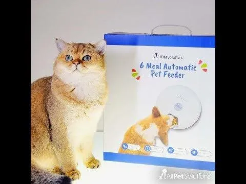 6 Meal Automatic Pet Feeder with LED Timed Settings