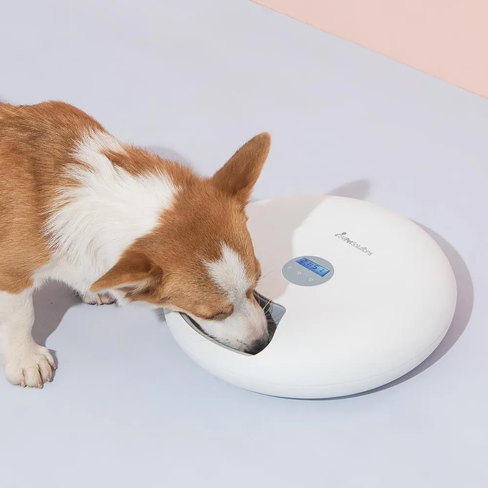 6 Meal Automatic Pet Feeder with LED Timed Settings