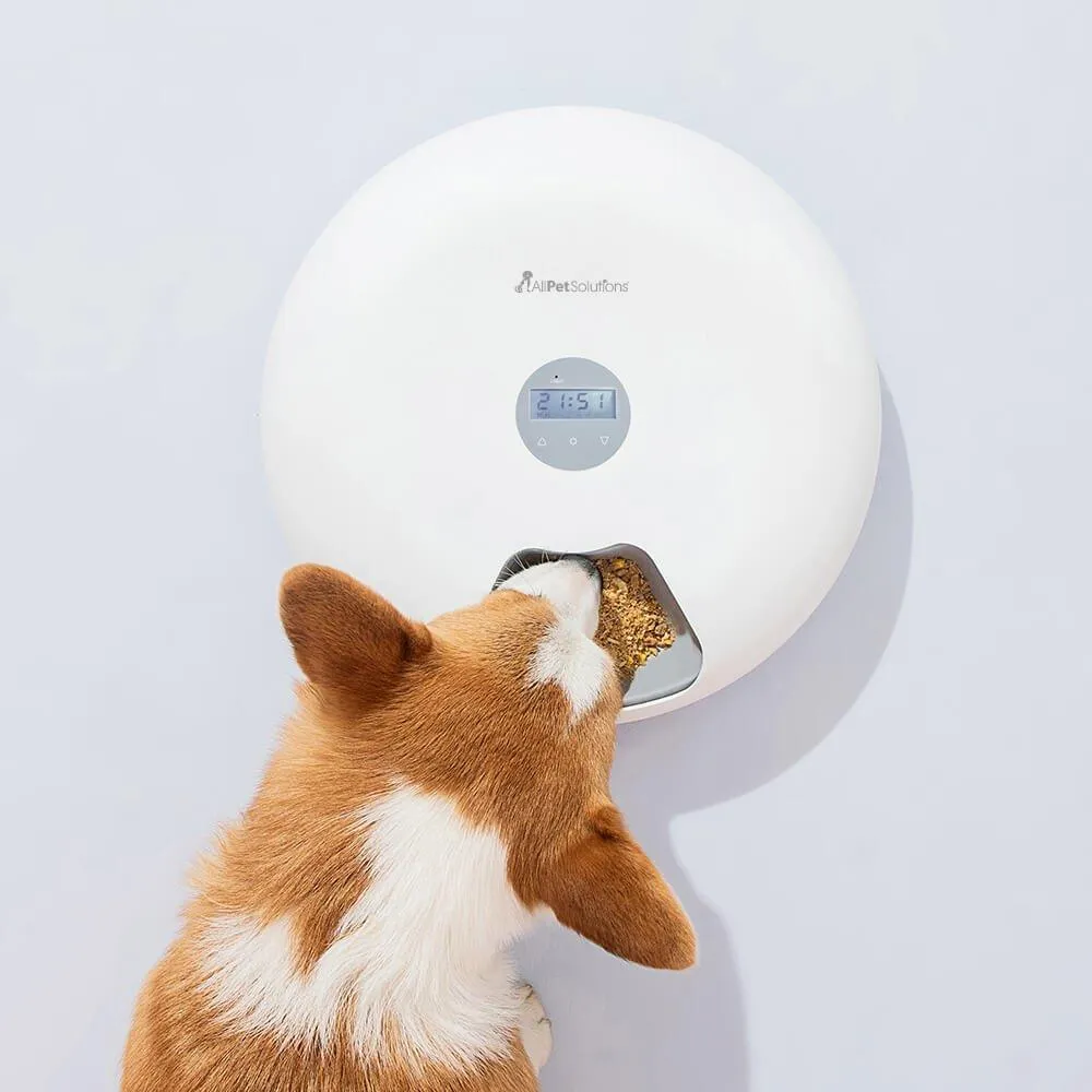 6 Meal Automatic Pet Feeder with LED Timed Settings