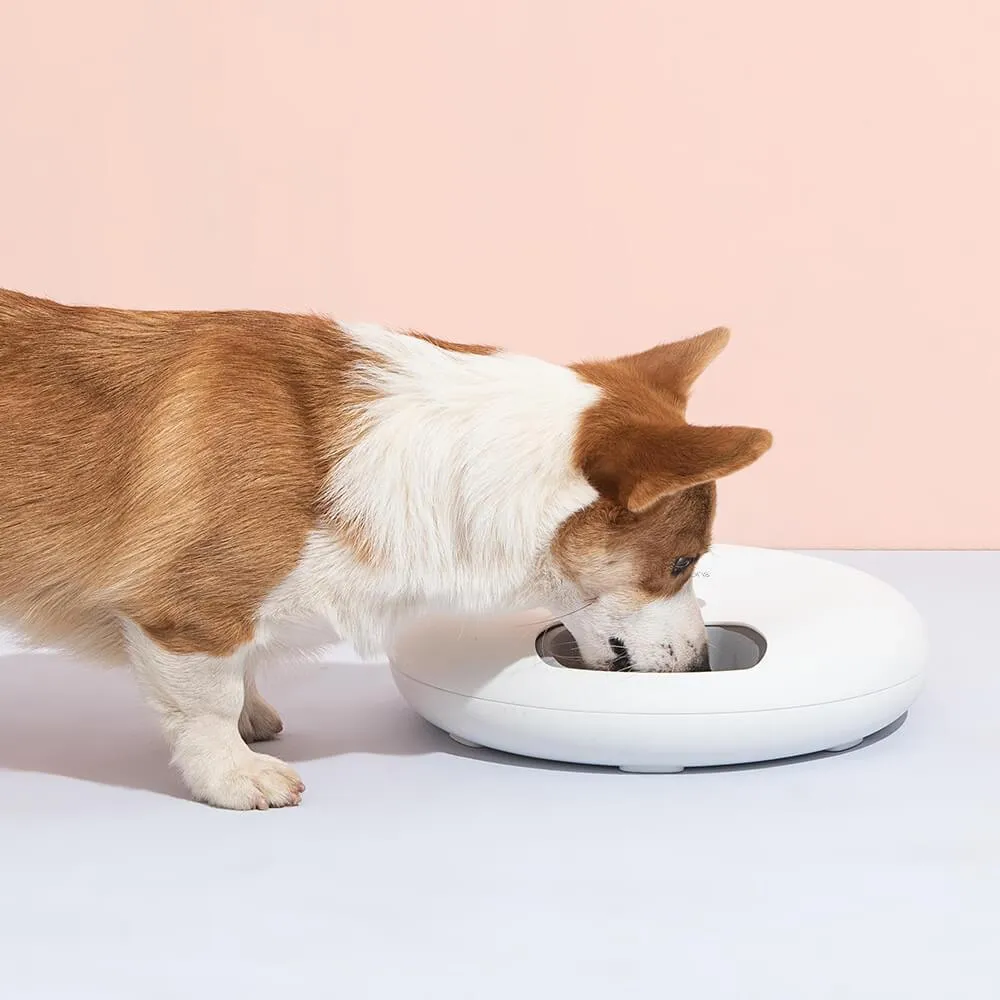 6 Meal Automatic Pet Feeder with LED Timed Settings