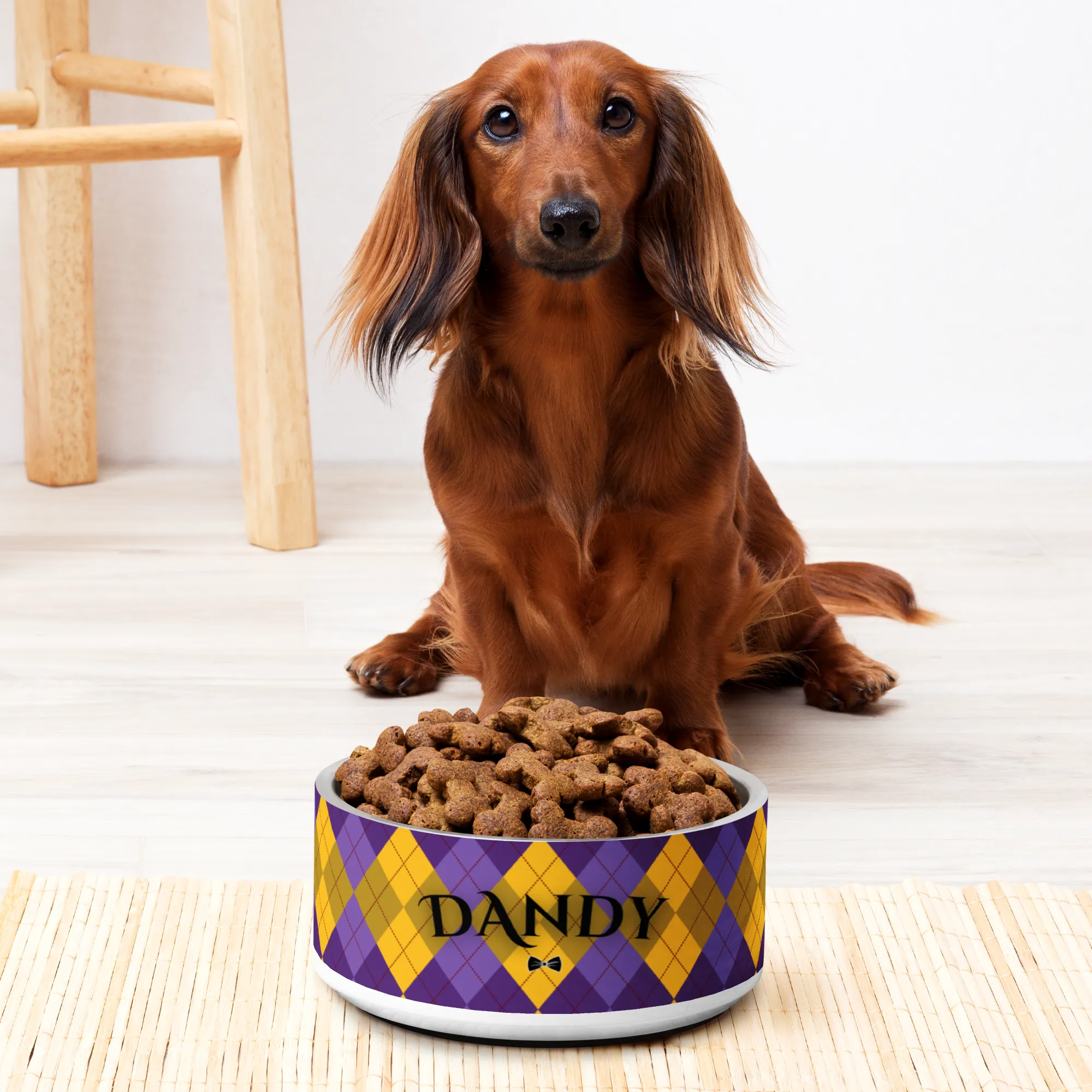 Agent Argyle Pet bowl