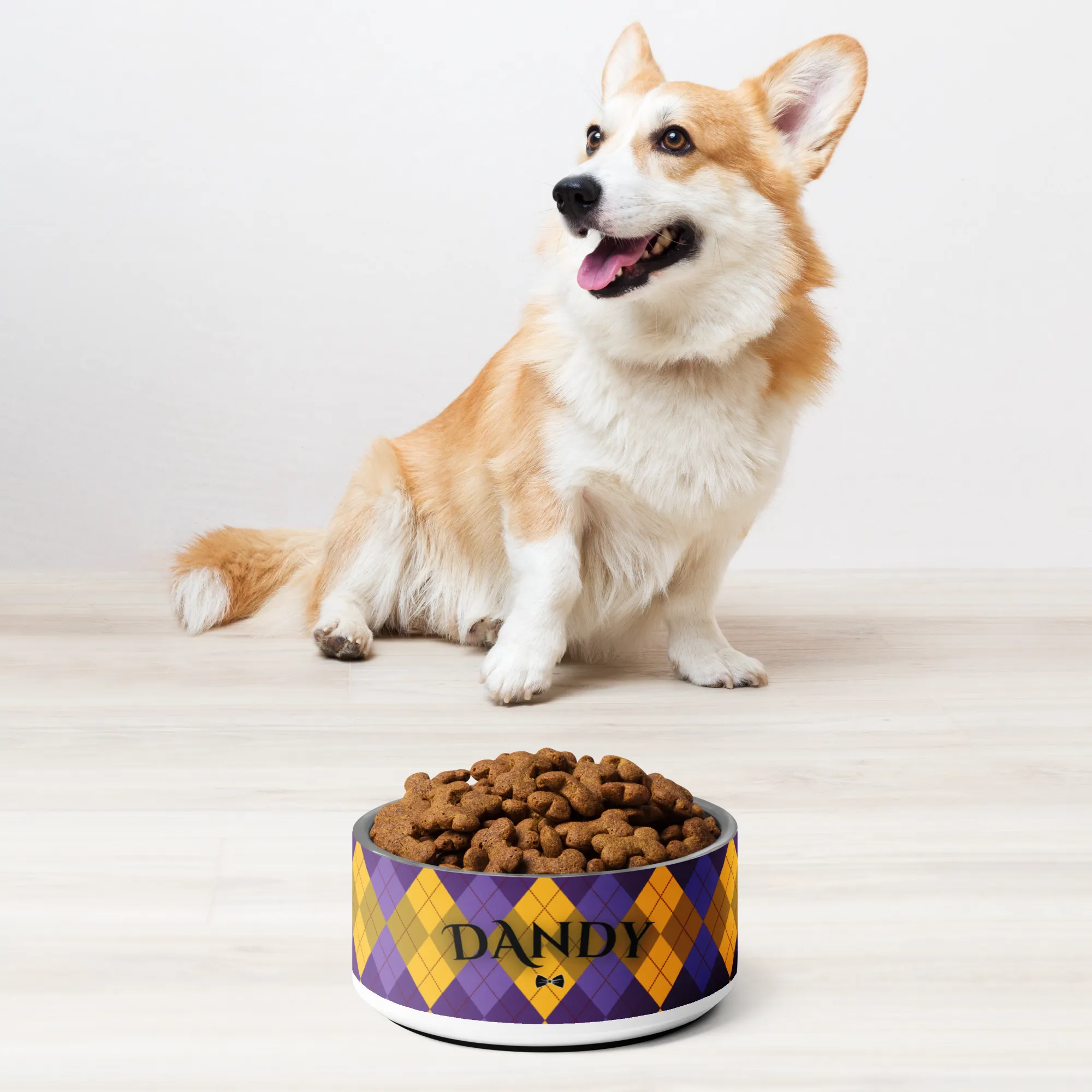 Agent Argyle Pet bowl