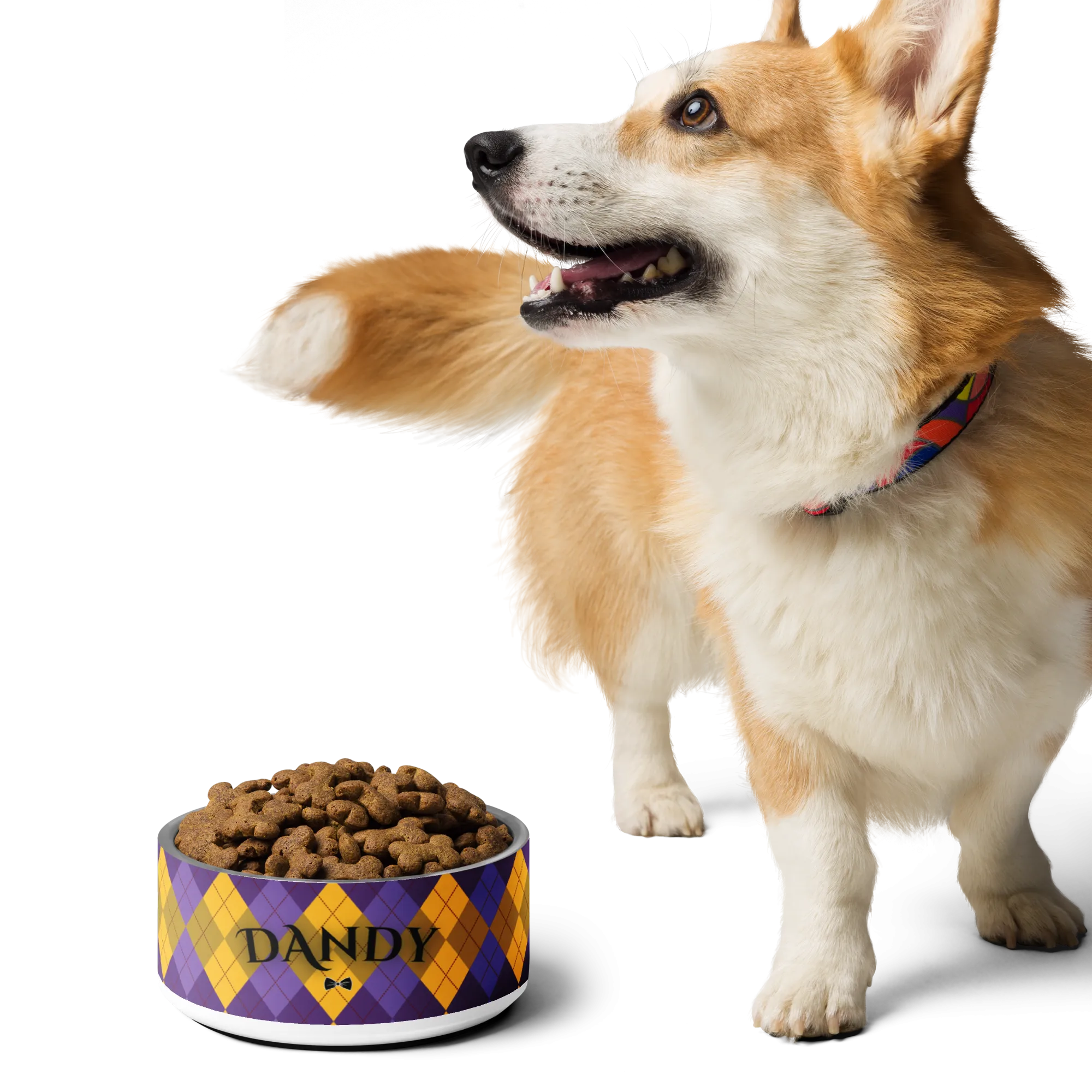 Agent Argyle Pet bowl