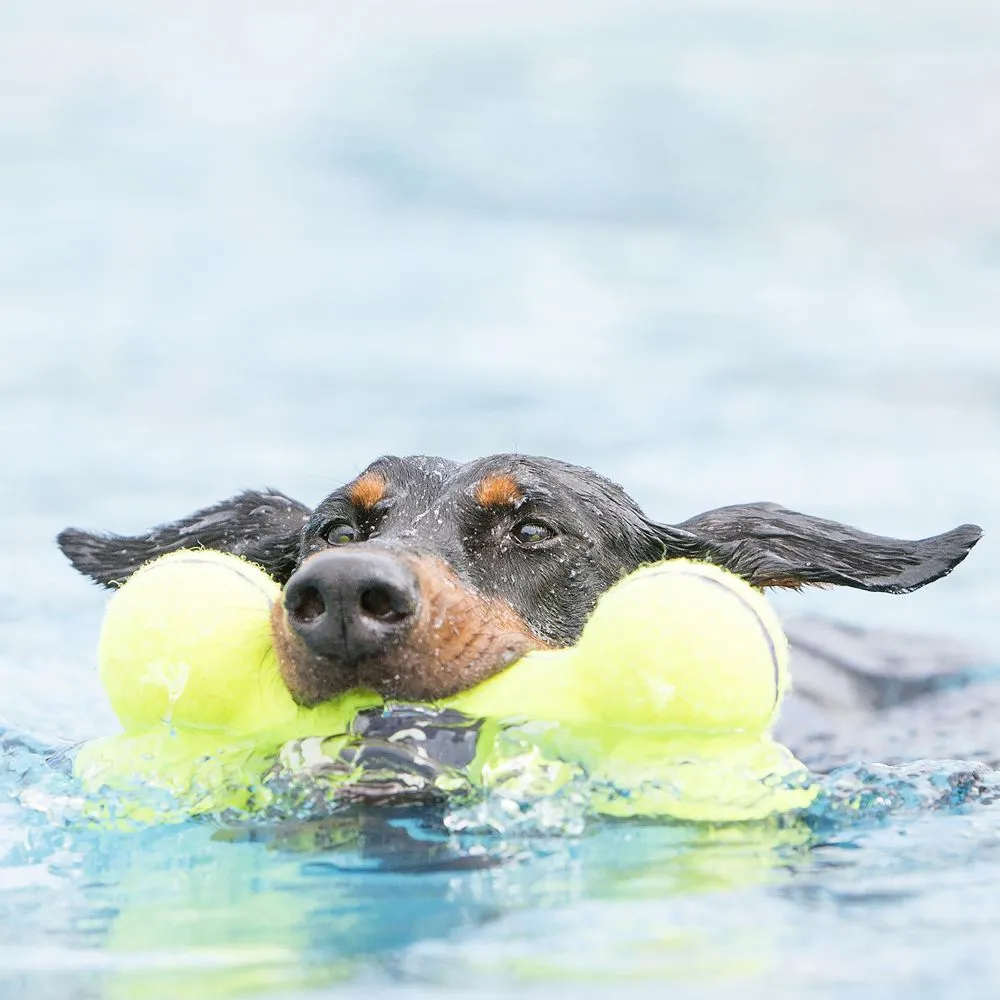 Airdog Squeaker Bone ASB
