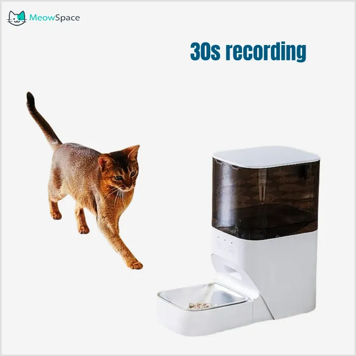 Automatic Cat Feeder