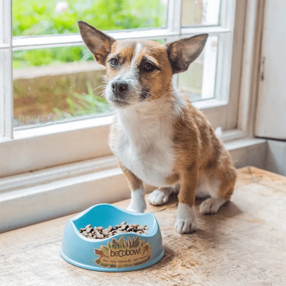 Beco Bowl for Dogs (Blue)