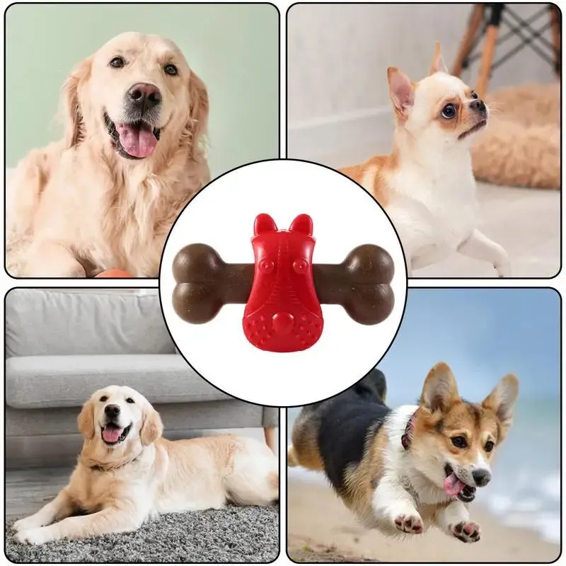 Bone Shaped Dog Toy | Bite-Resistant with Convex Points | Slow Feeder Dog Enrichment Toy for Aggressive Chewers | Alo Trendy