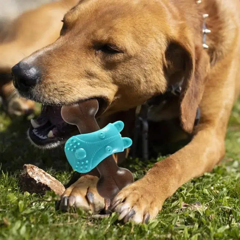 Bone Shaped Dog Toy | Bite-Resistant with Convex Points | Slow Feeder Dog Enrichment Toy for Aggressive Chewers | Alo Trendy