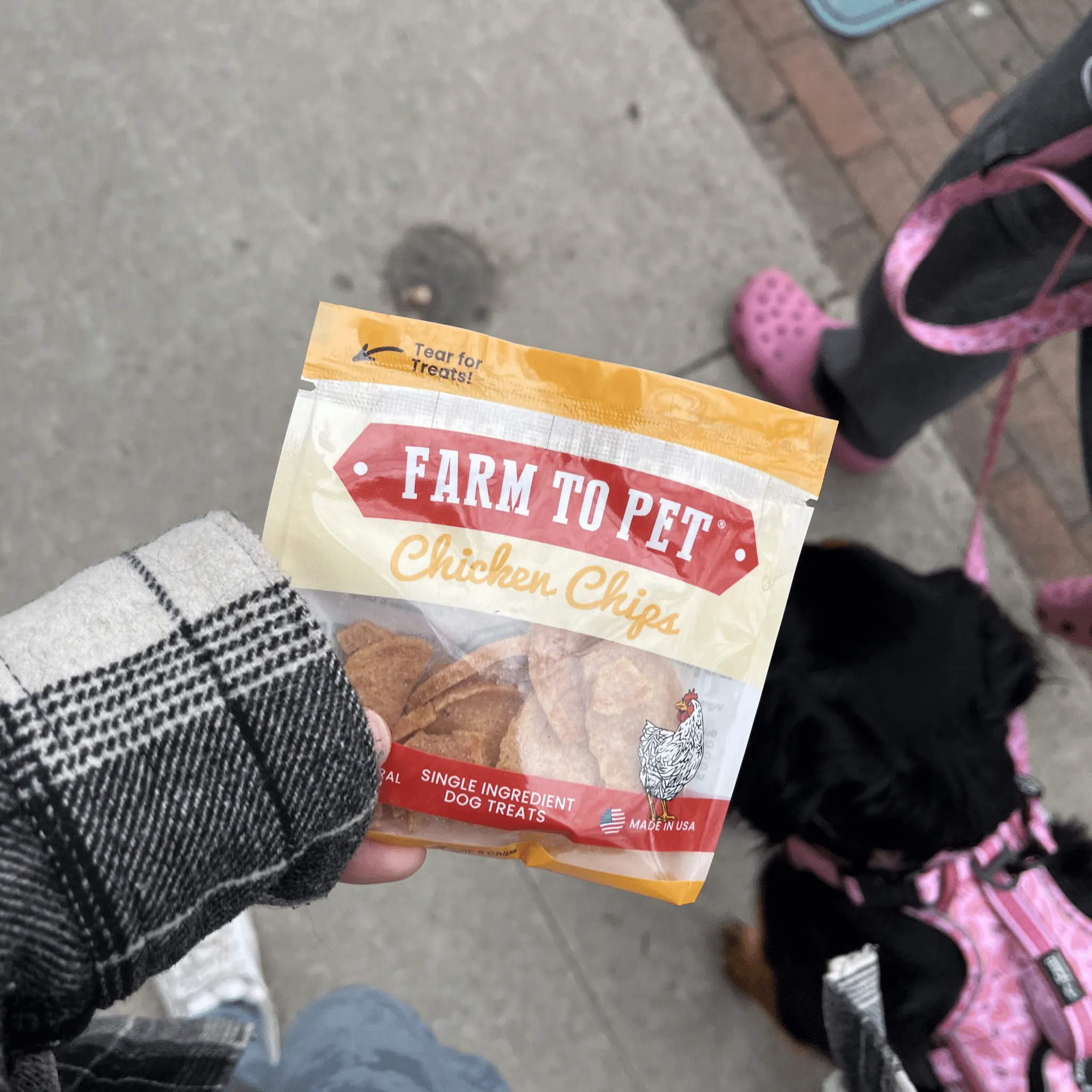 Chicken Chip Snack Pack Bundles