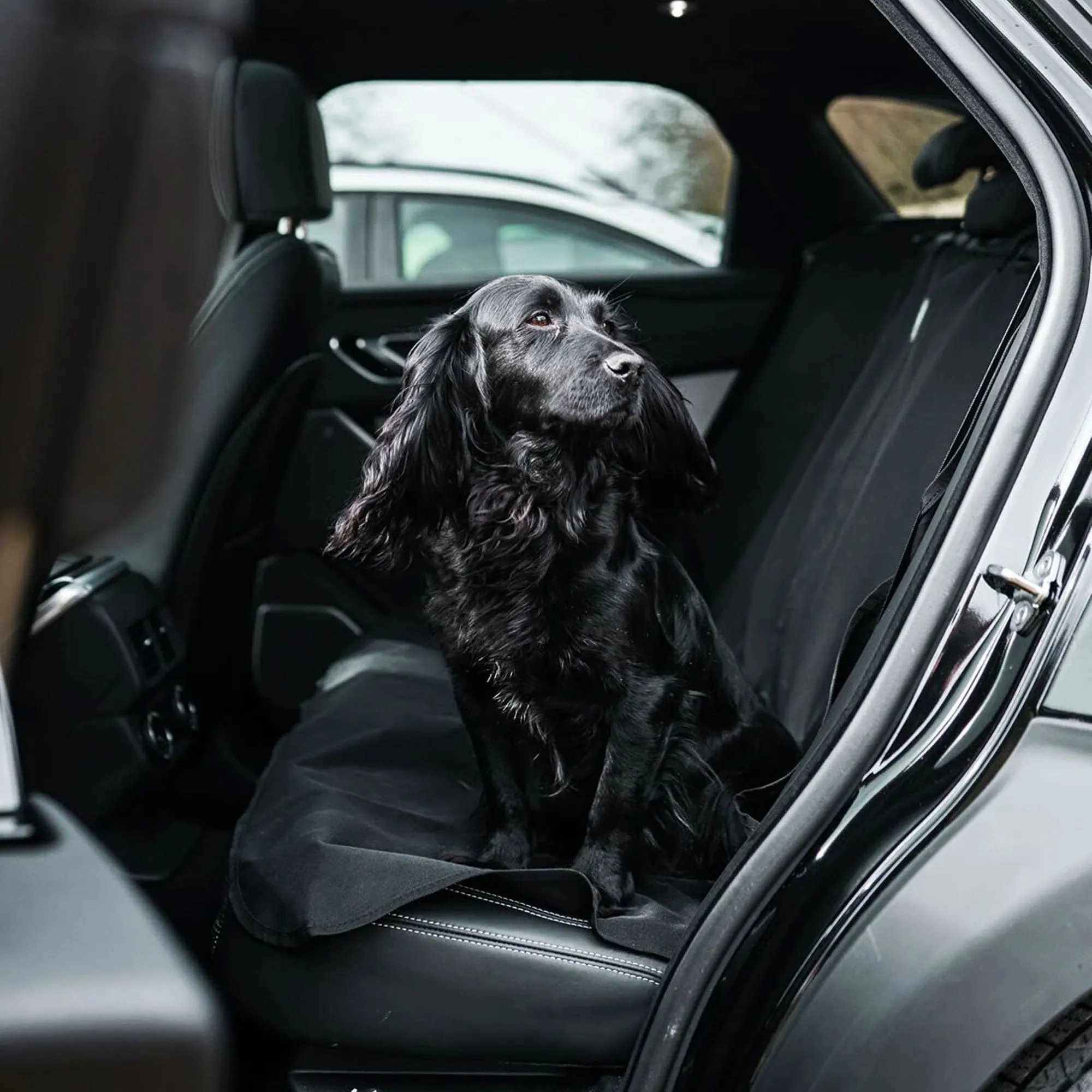 Danish Design Car Seat Cover