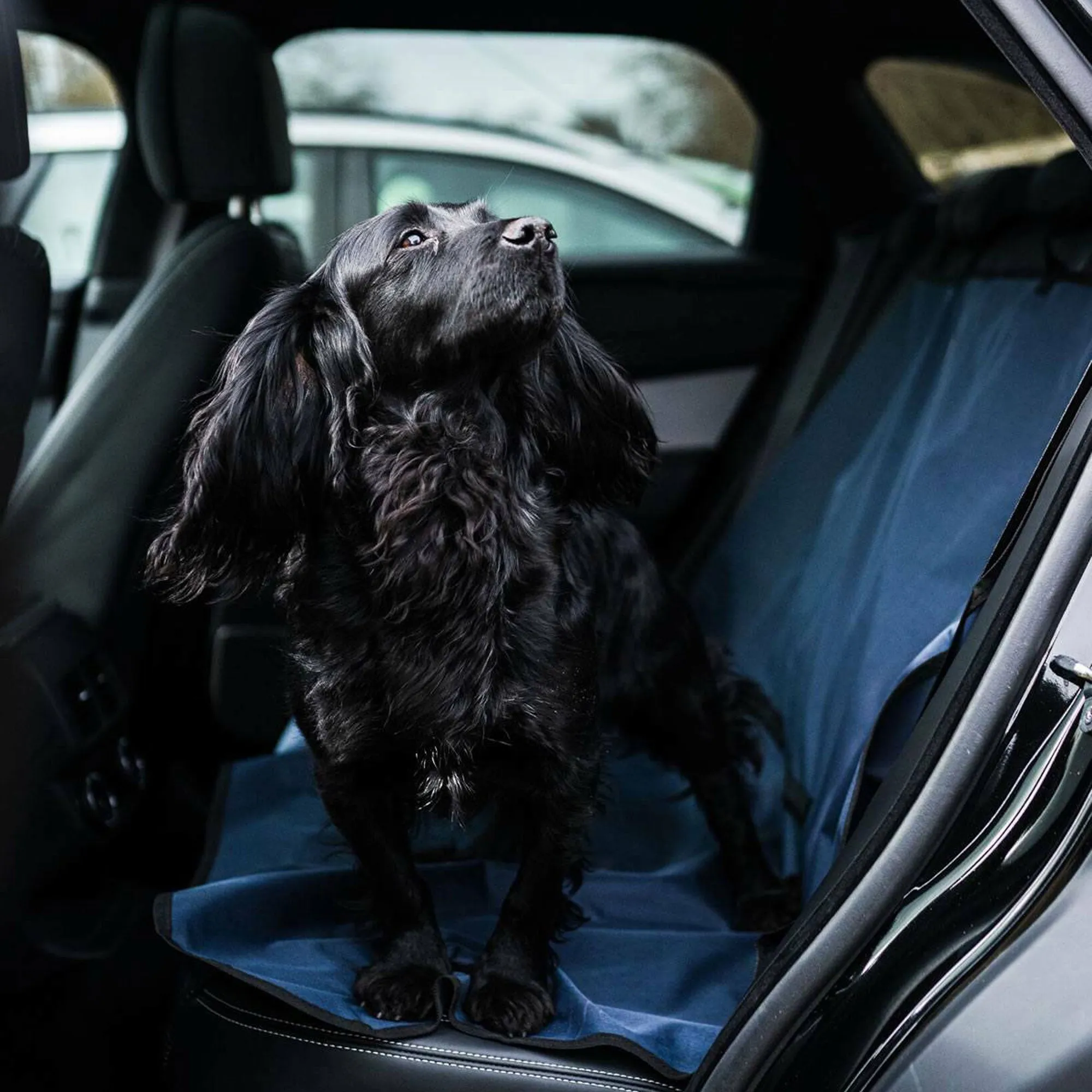 Danish Design Car Seat Cover