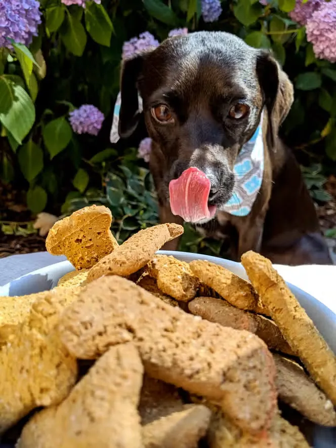 Delightfully Delicious Peanut Butter Dog Treats