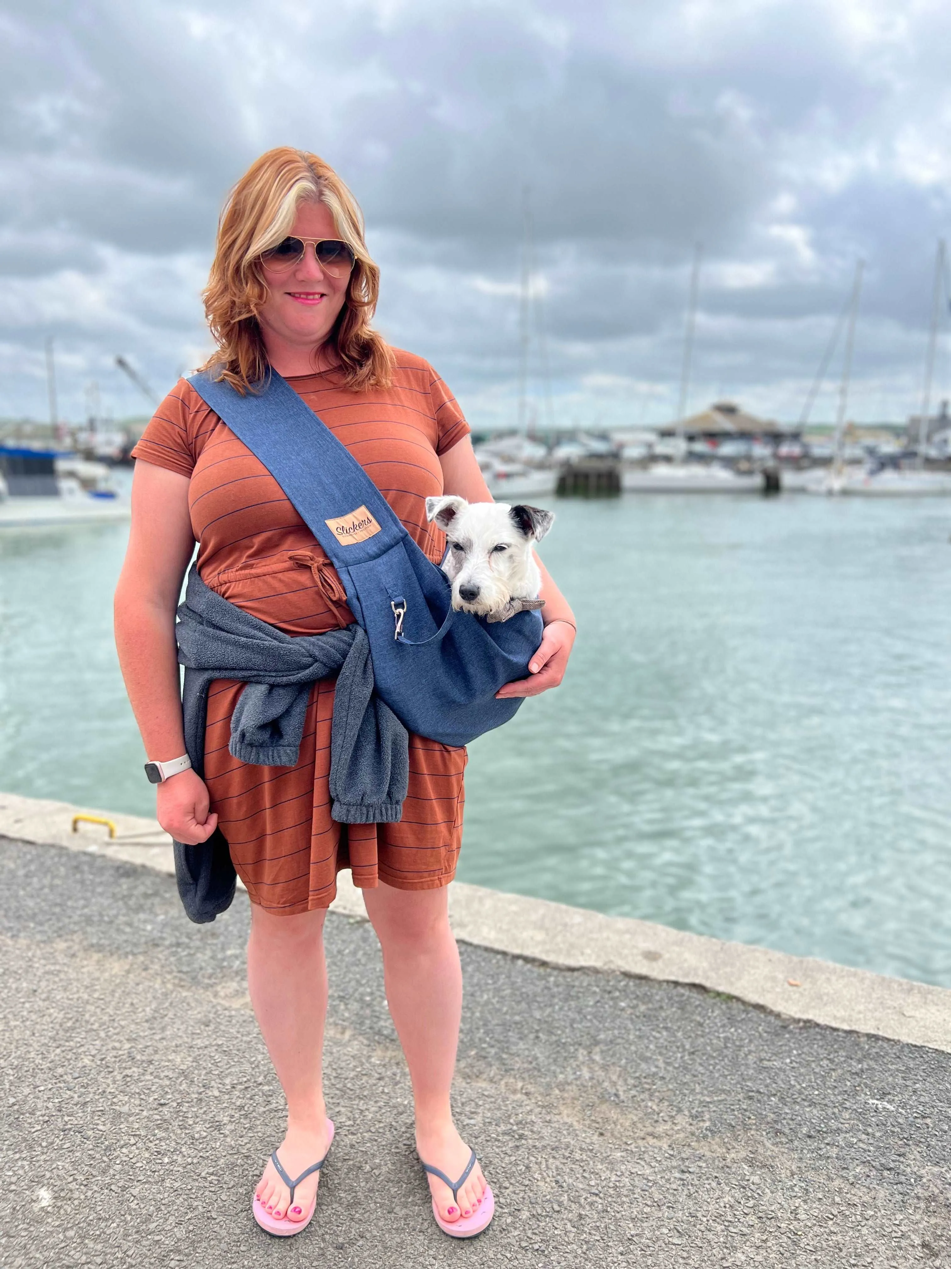 Denim Blue Dog Sling