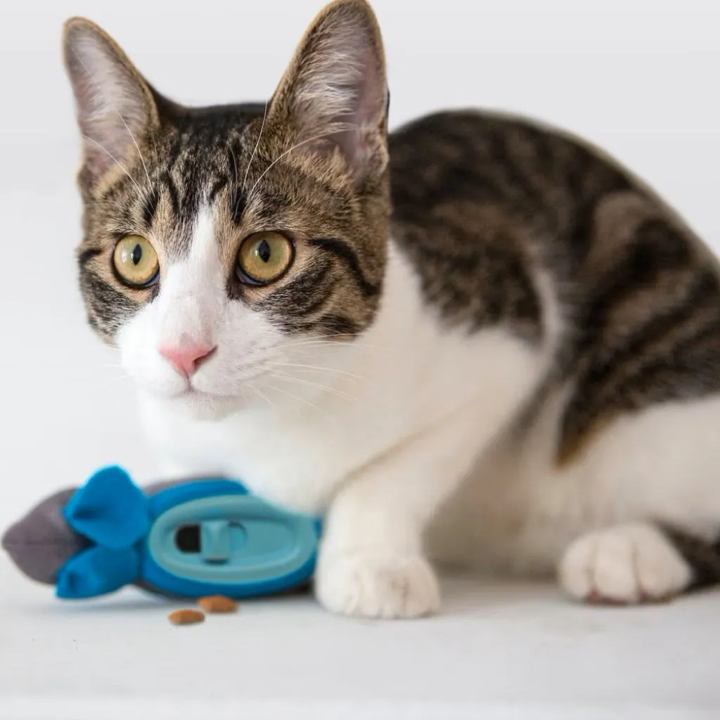 Doc & Phoebe The Hunting Snacker Feeder Toy For Cats (1 ct)