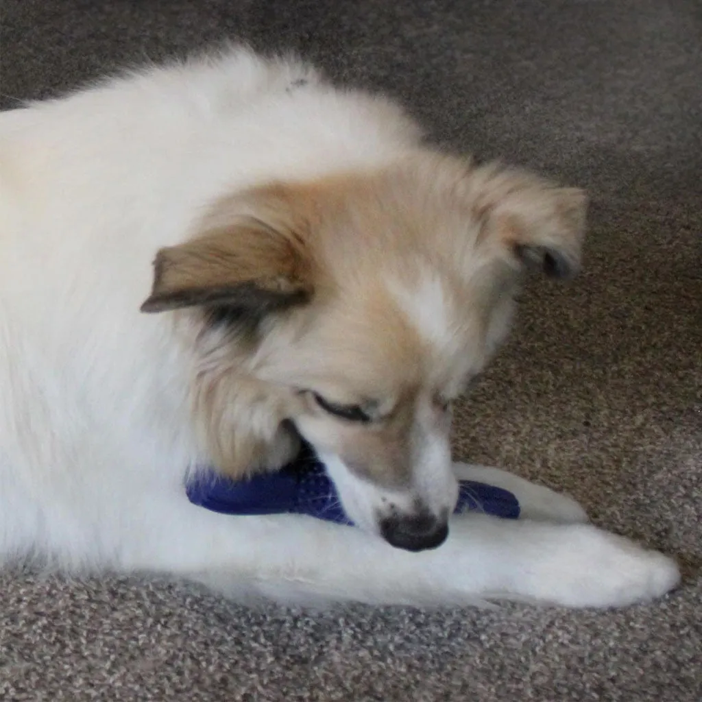 Ethical Pet Spot Barrett Tough Retriever Dog Toy 9.5"