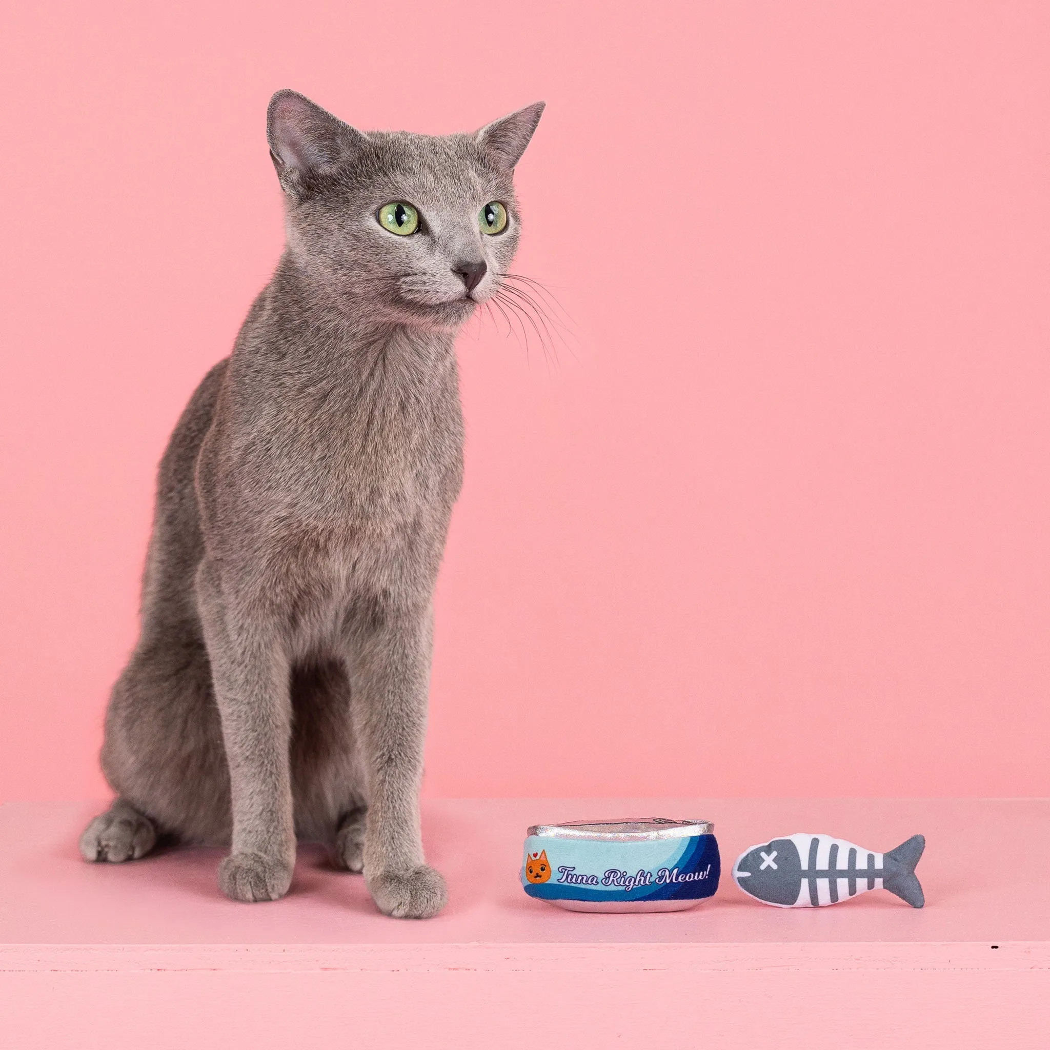 Fringe Tuna Right Meow Cat Toys