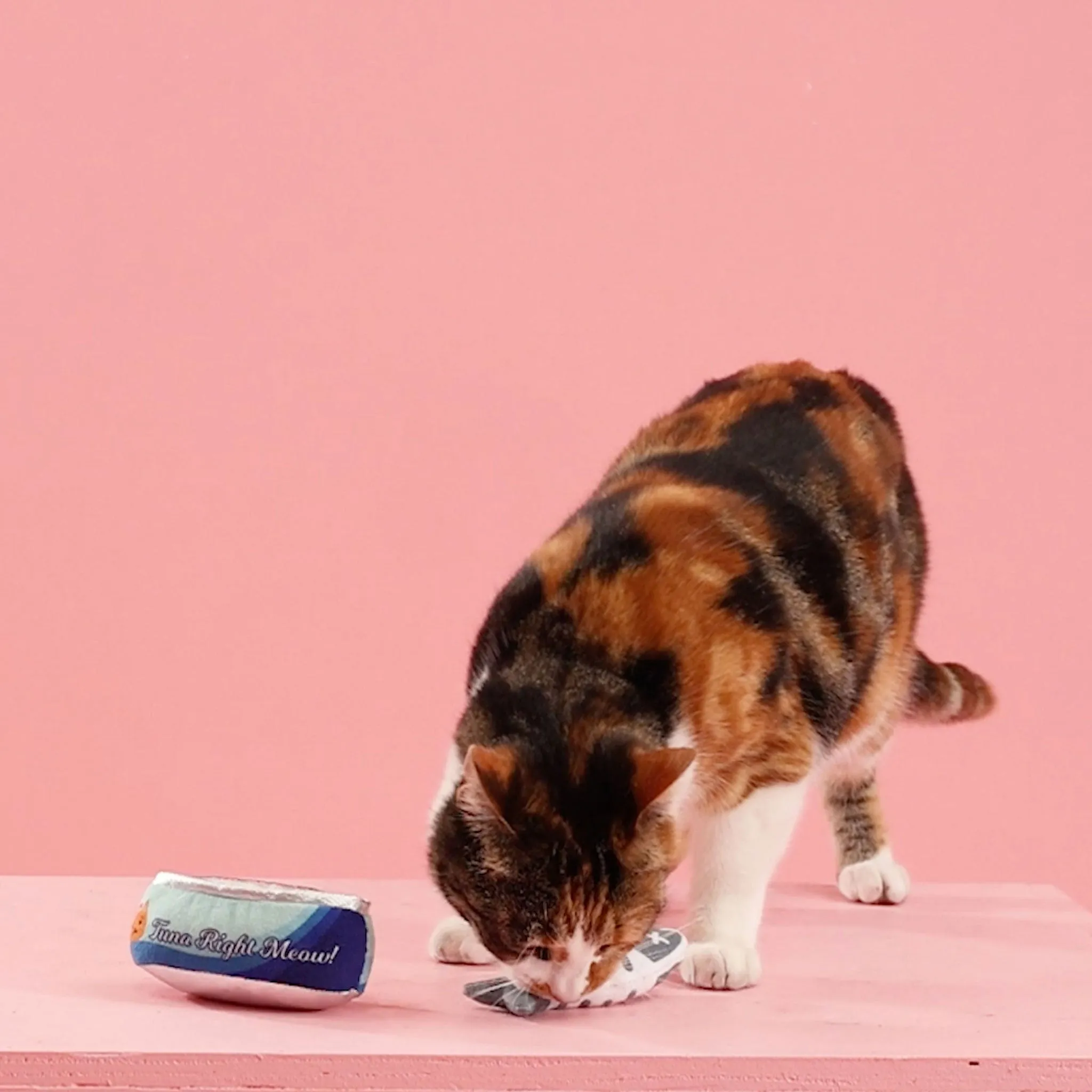 Fringe Tuna Right Meow Cat Toys