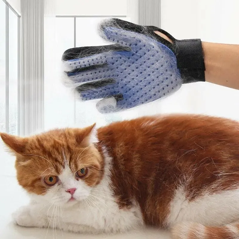 Gentle Grooming Glove for Cats and Dogs