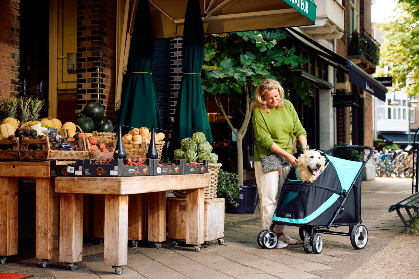 InnoPet Mamut XL Dog Pram with Free Rain Cover   Organiser
