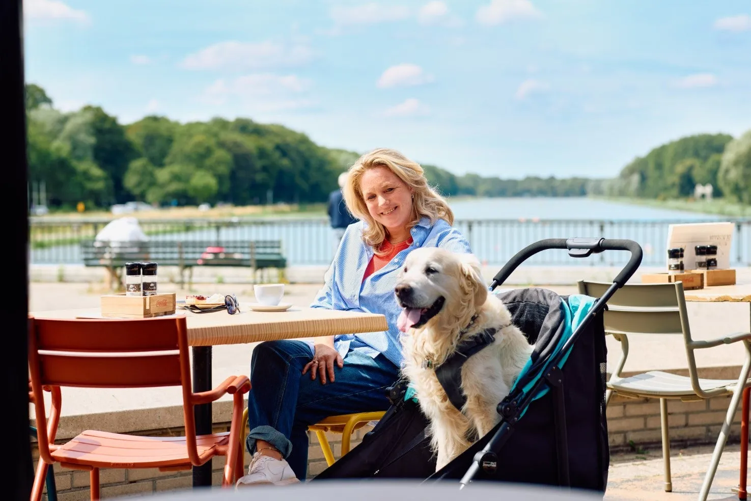 InnoPet Mamut XL Dog Pram with Free Rain Cover   Organiser