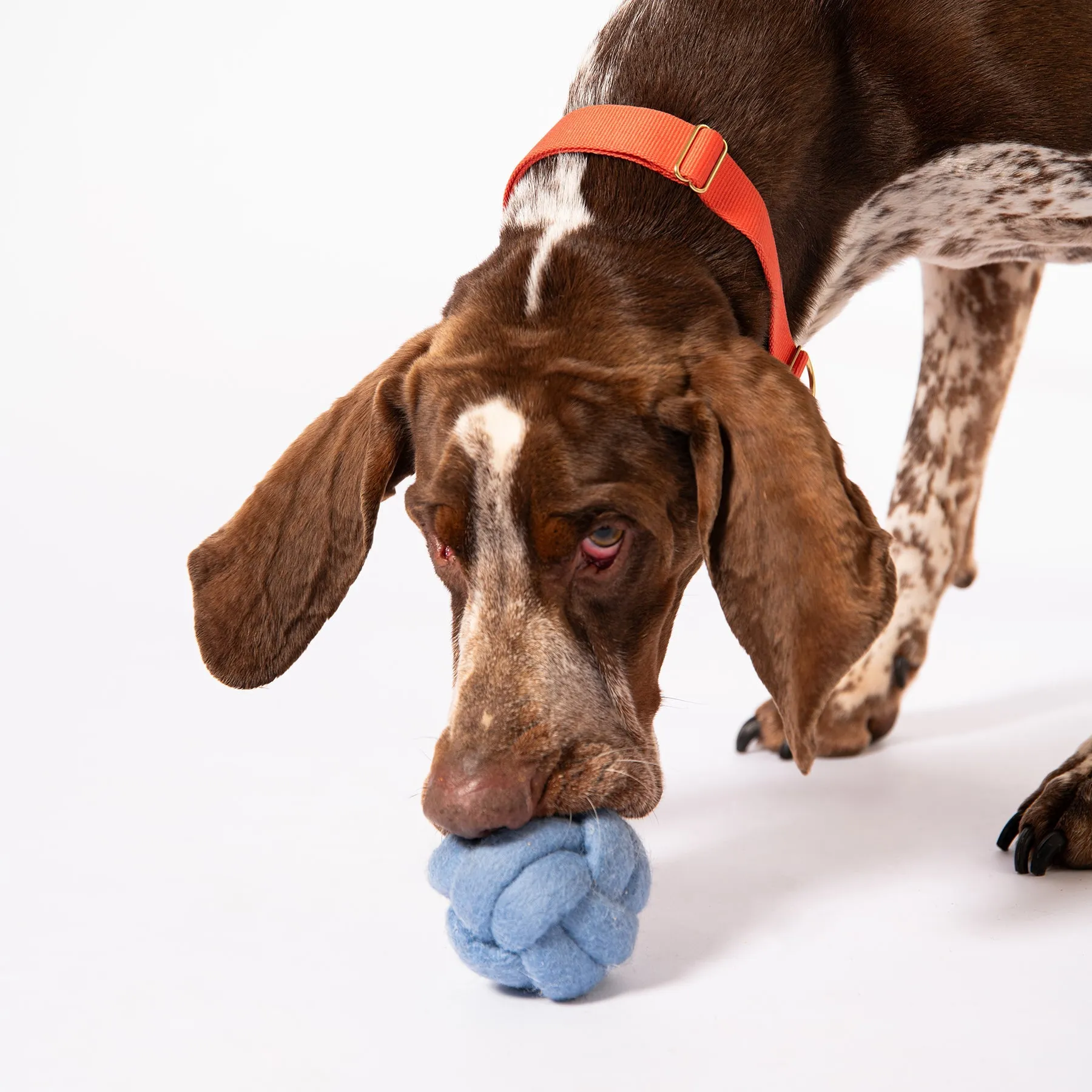 Knot Today Felt Puzzle Toy