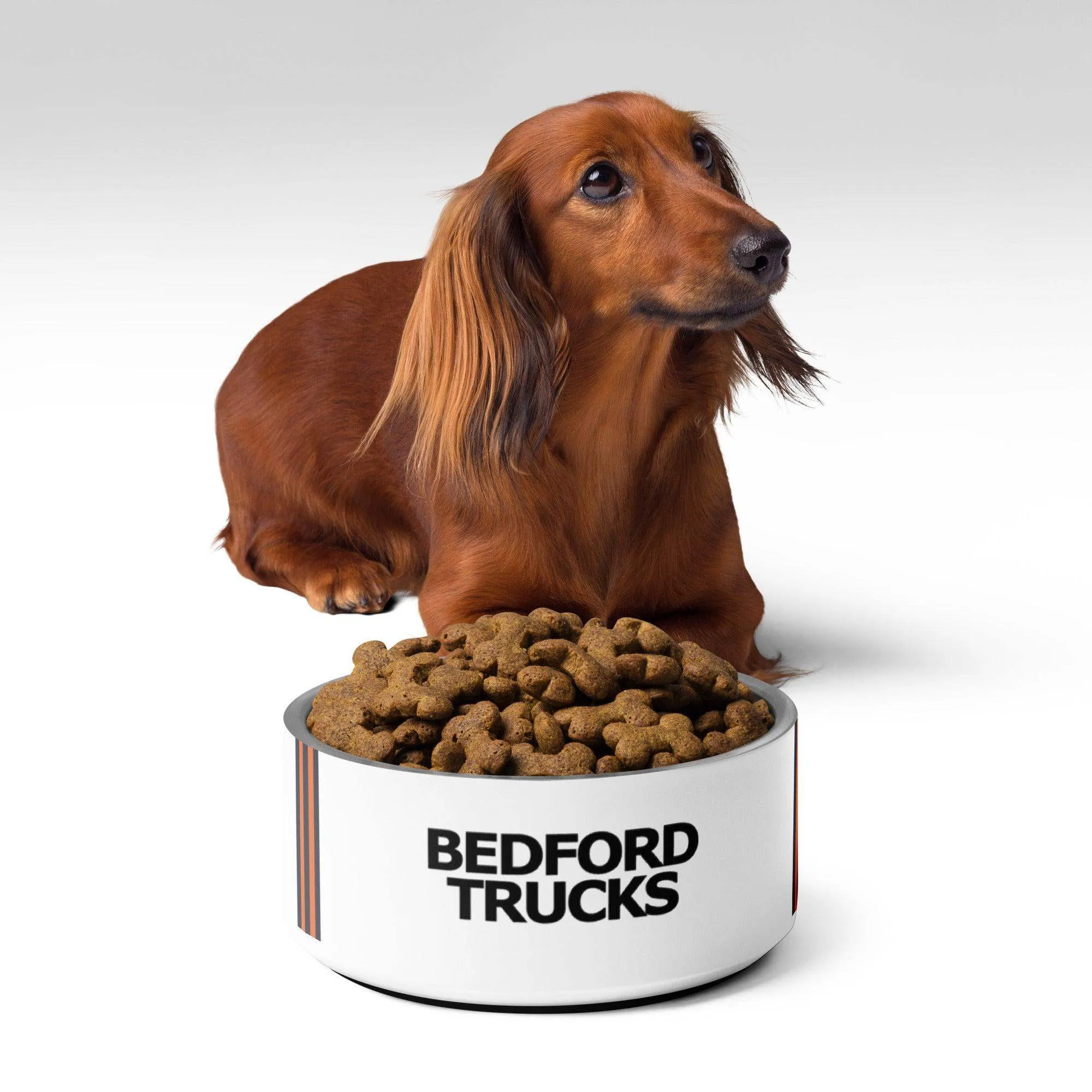 Luton Town Retro Pet bowl