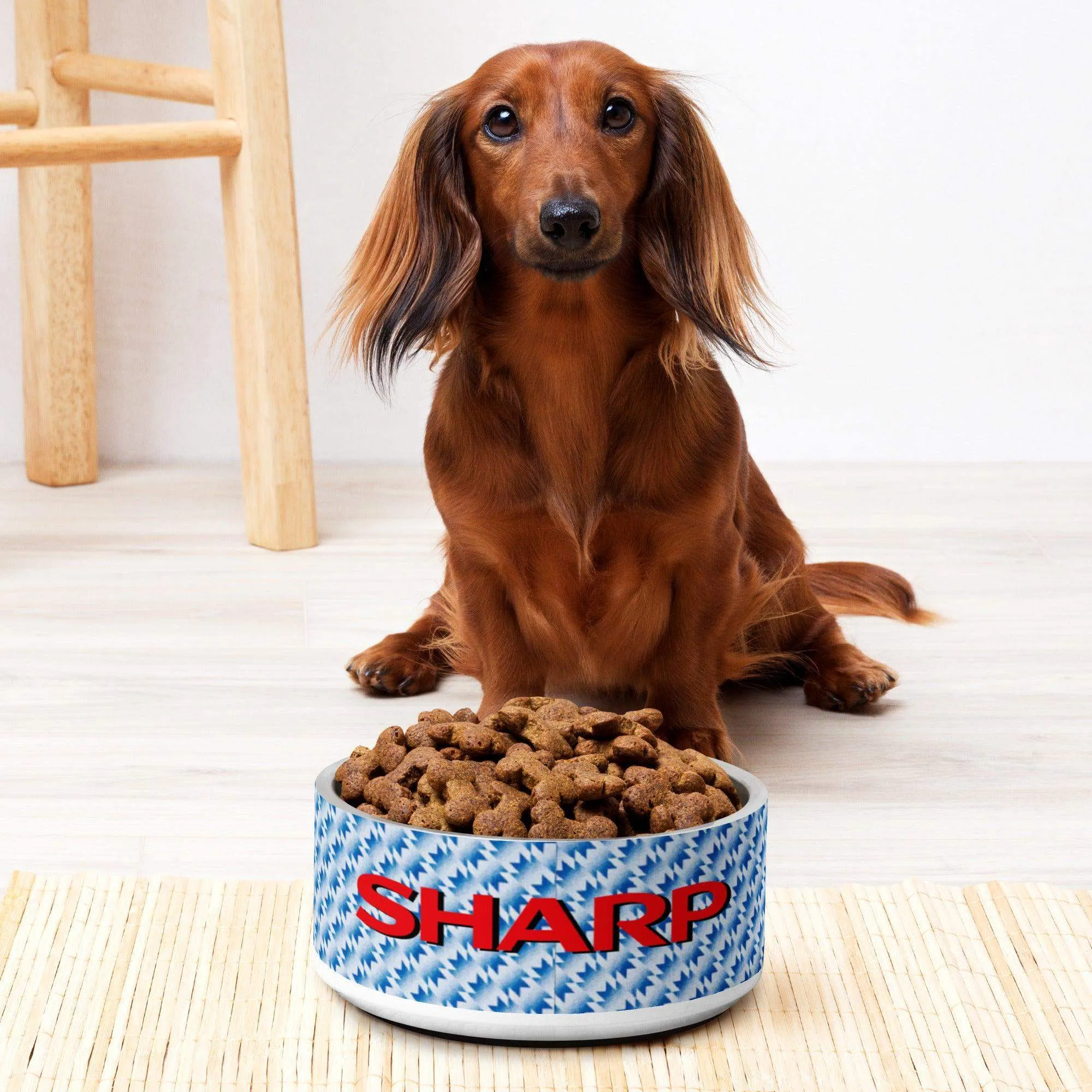 Manchester United Retro Pet bowl