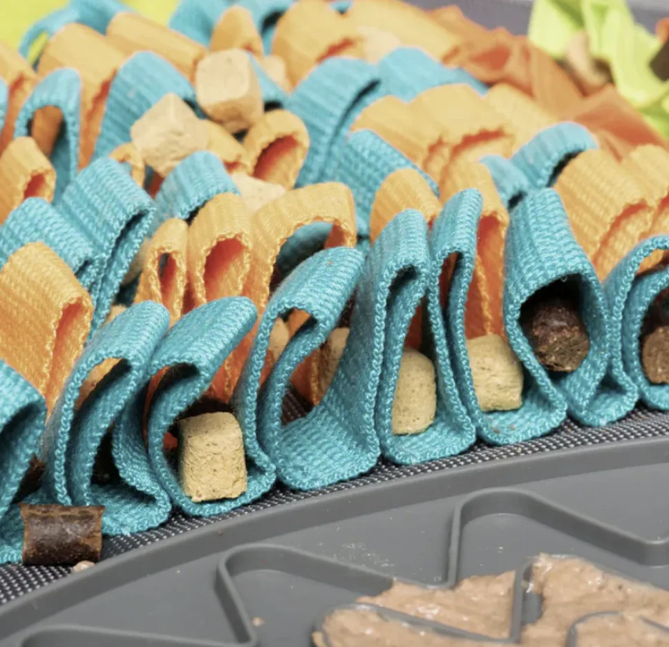 Messy Mutts Square Forage Mat with Suction & Lick Mat 16''