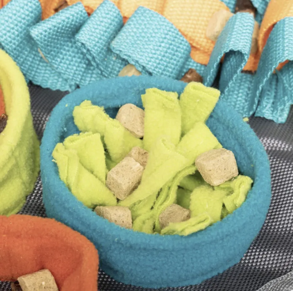 Messy Mutts Square Forage Mat with Suction & Lick Mat 16''