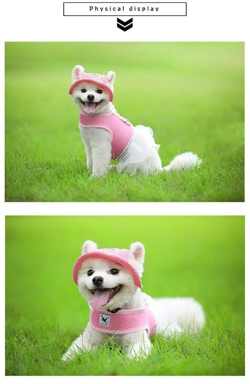 NOROOMAKNET Dog Sun Hat
