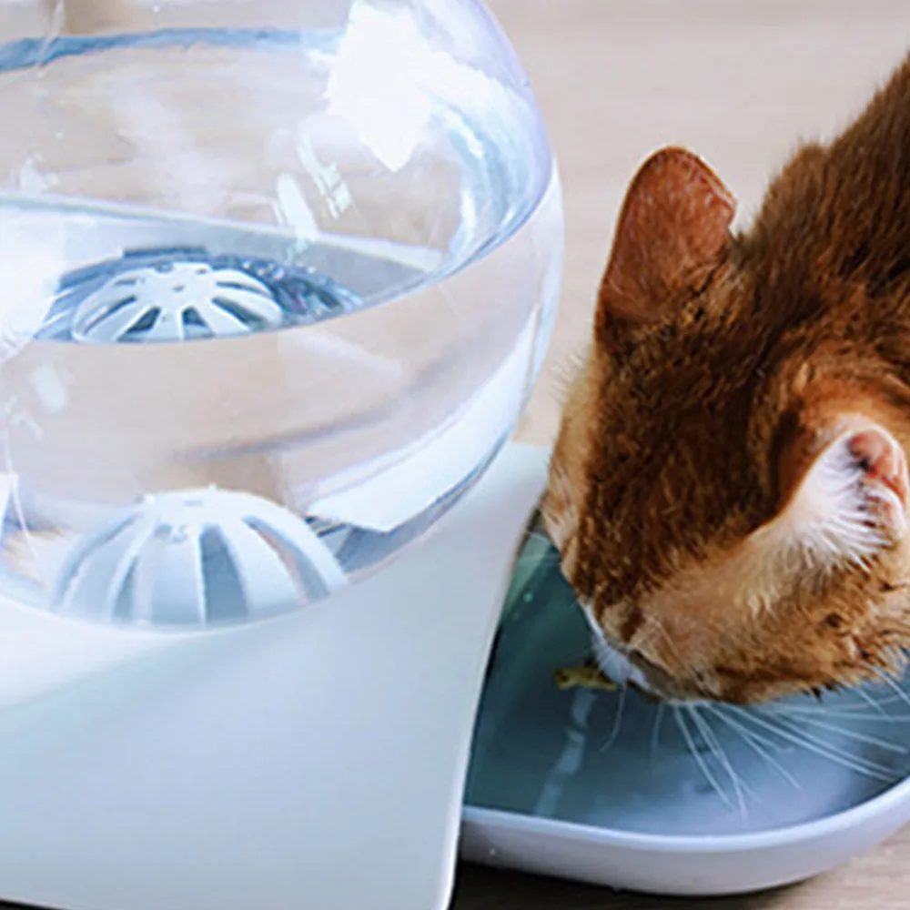 PAWS ASIA Factory New Eco Friendly Plastic Transparent Automatic Dog Water Bowl Cat Dispenser 2.8L