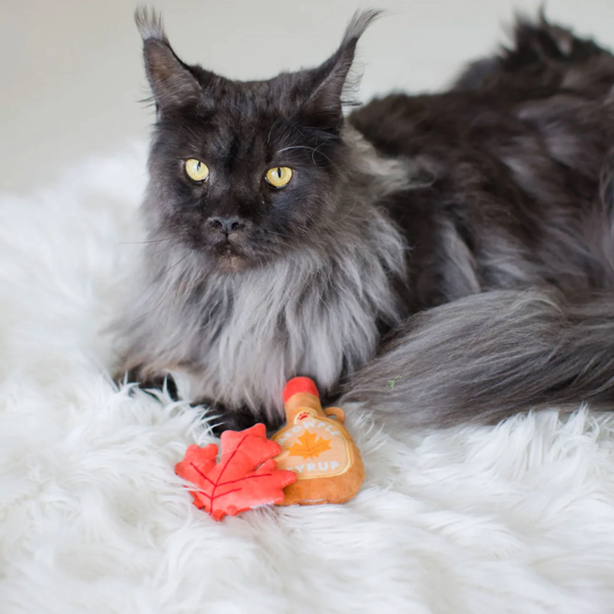 Pearhead Meowple Season Cat Toys - 2 Pack
