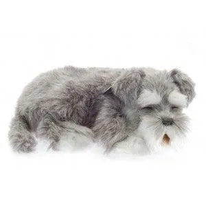 Perfect Petzzz Schnauzer