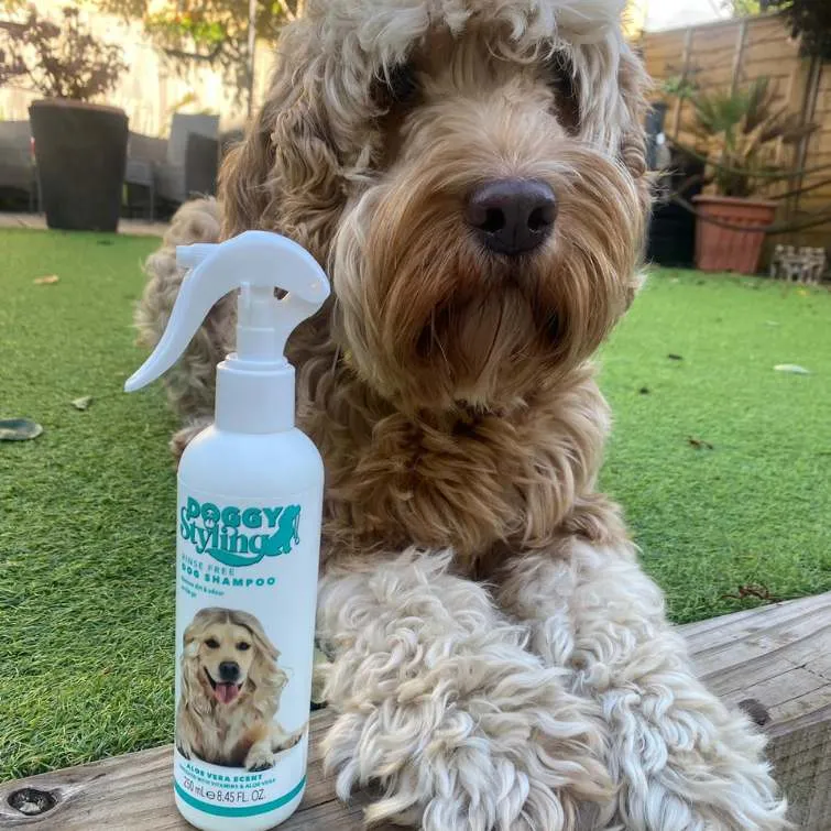 Rinse Free Dog Shampoo 250ml