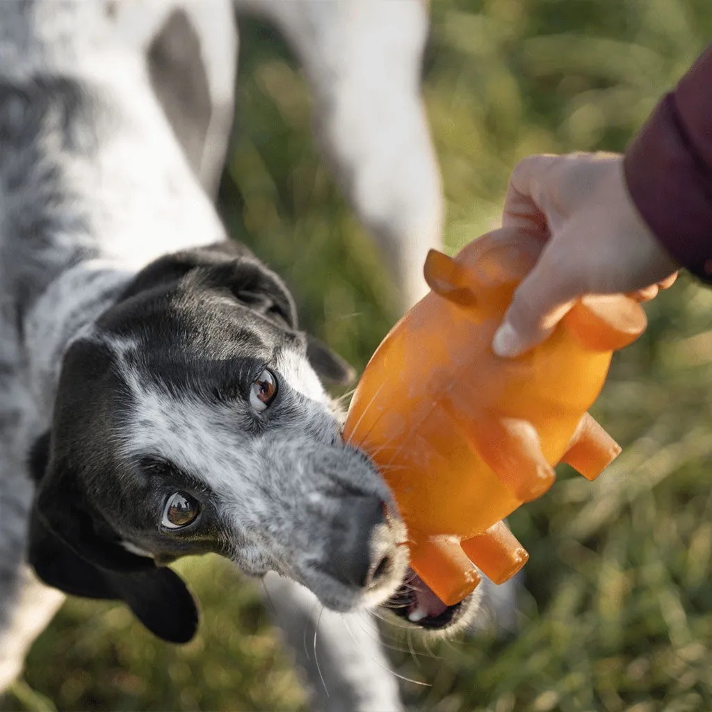 Rubber Pig Dog Toy