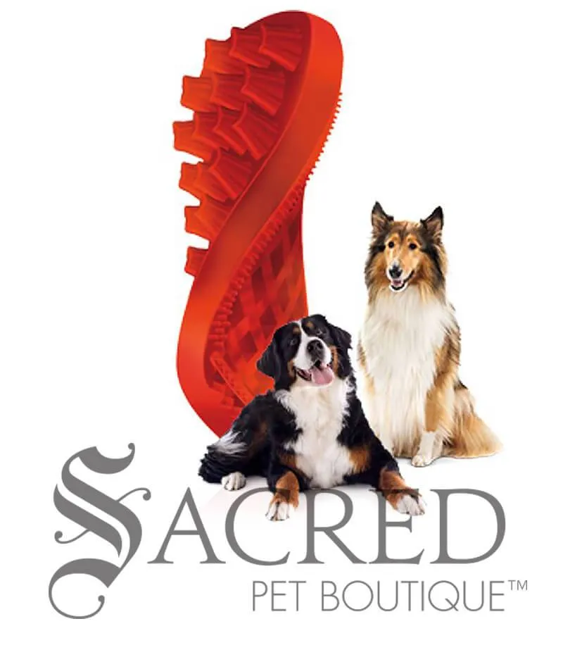 Silicone Pet Brush
