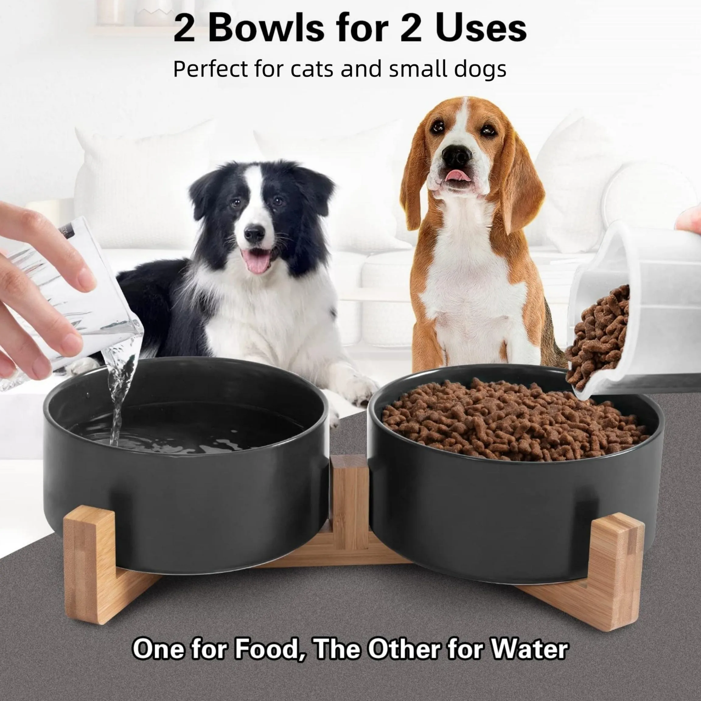 Slipproof Dual Pet Food Bowl No Spills Easy Clean Lasting