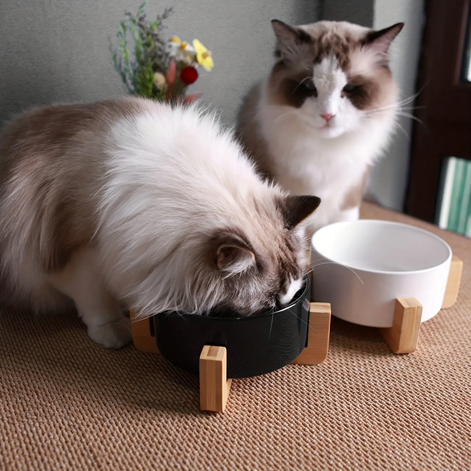 Slipproof Dual Pet Food Bowl No Spills Easy Clean Lasting