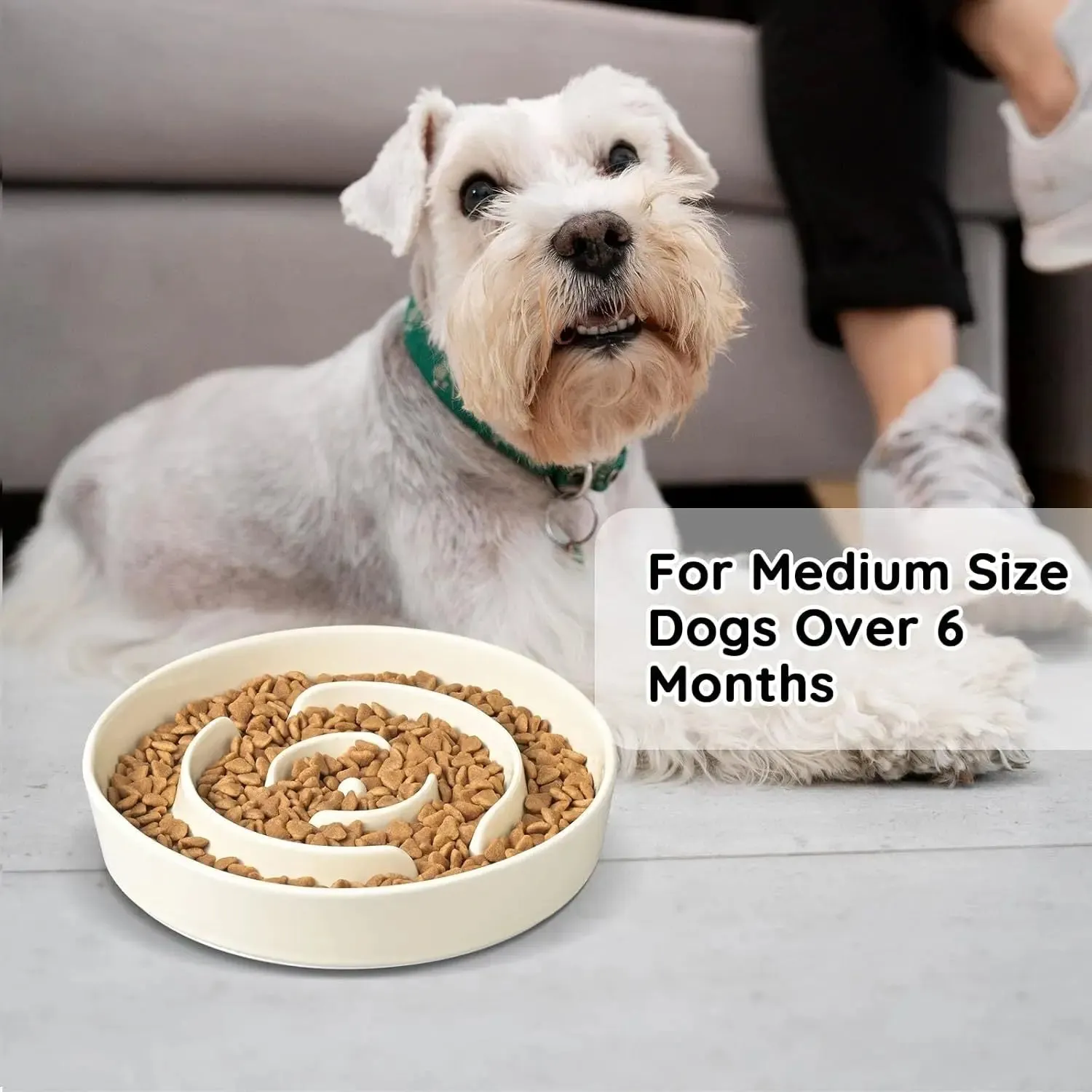 Slow Feeder Ceramic Dog Bowls for Medium Breeds