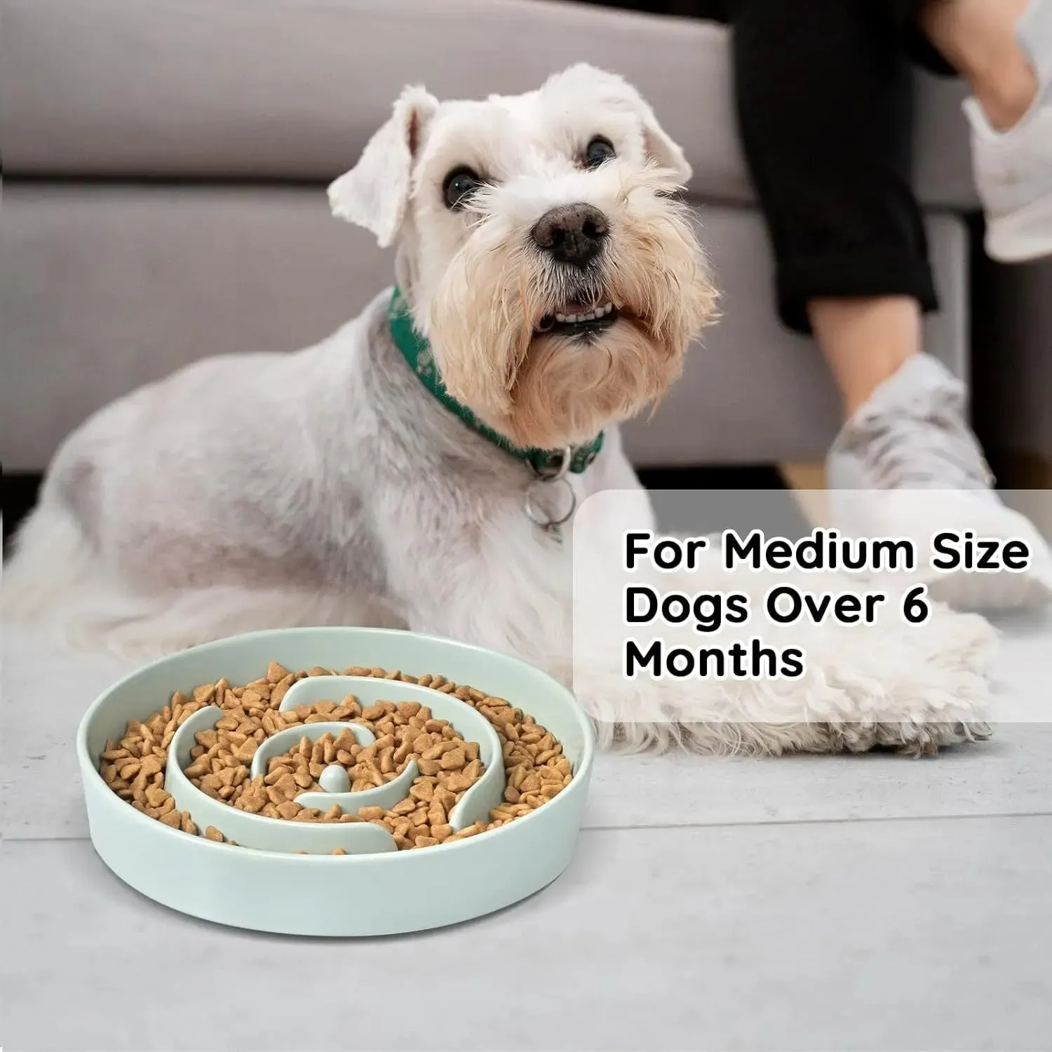 Slow Feeder Ceramic Dog Bowls for Medium Breeds