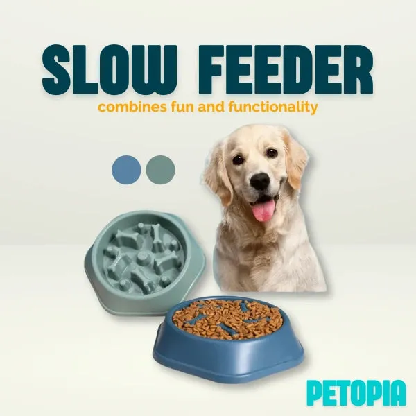 Slow Feeder Dog Bowl