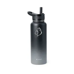 Stainless Steel Water Bottle with 3 Lid | Shadow | 40oz
