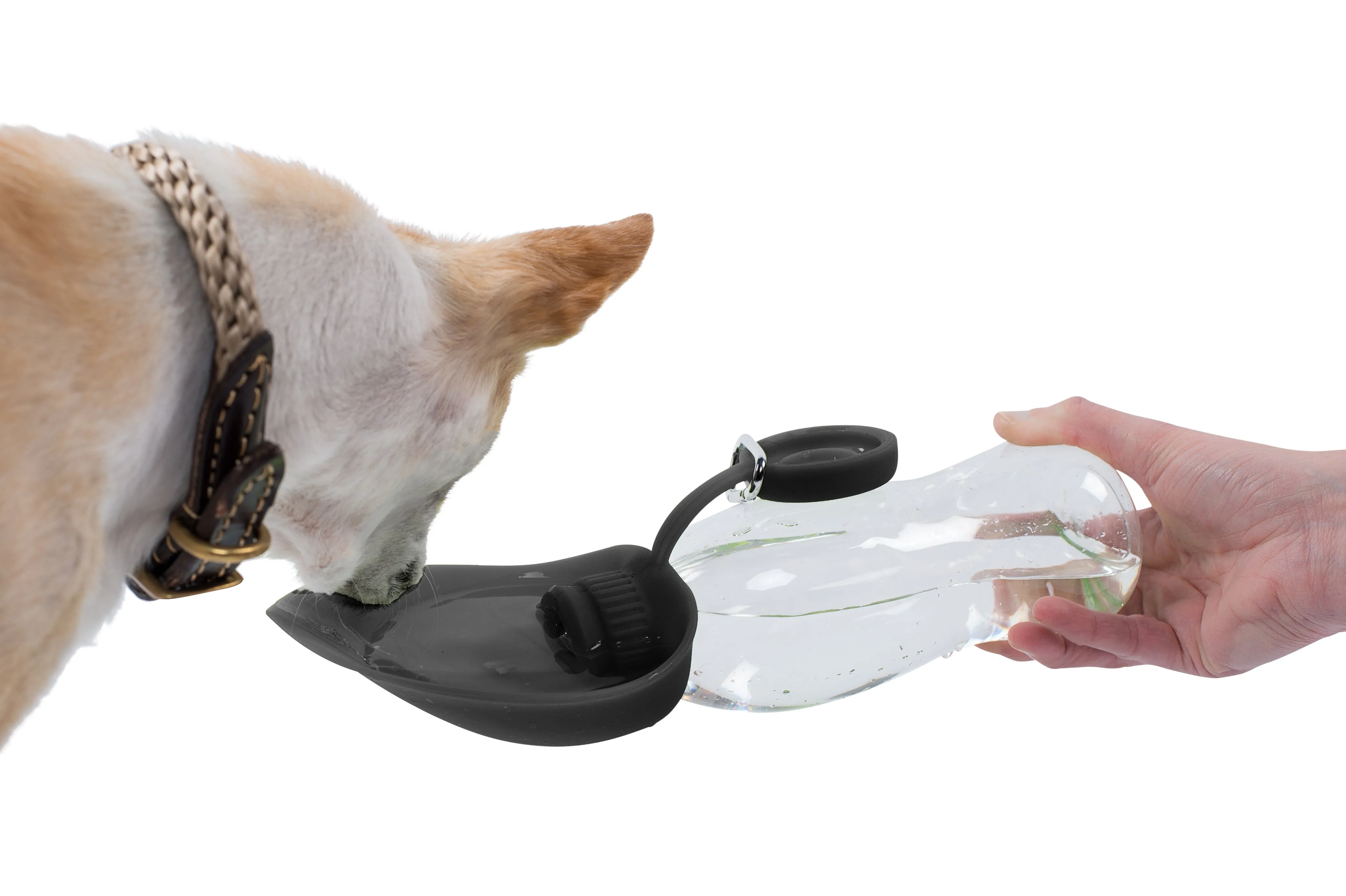 Travel Feeder for Dogs - Holds Water of Food - One Size